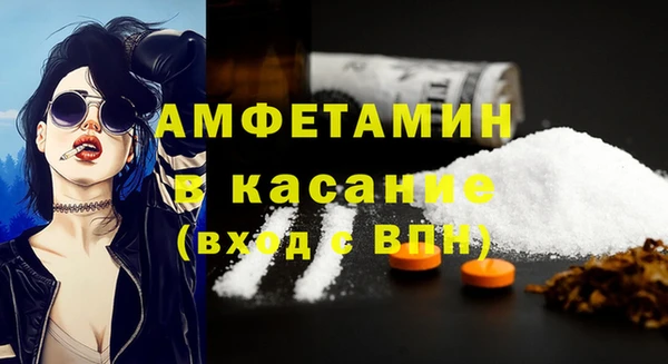 твердый Алзамай